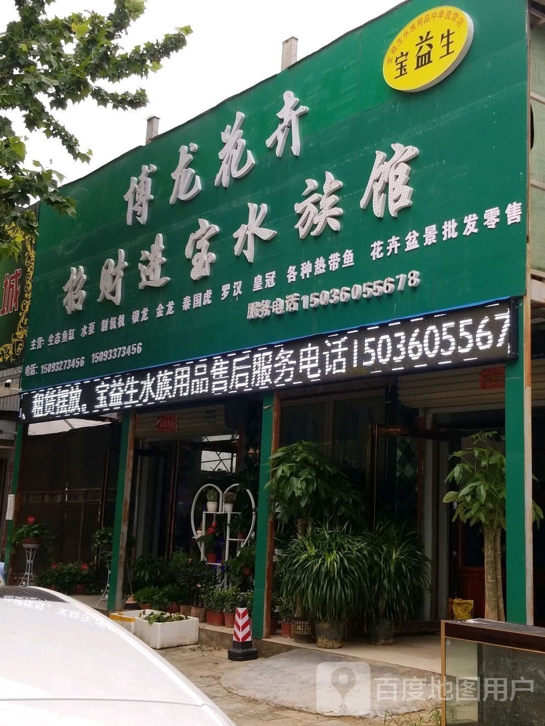 中牟哪個水族館龍魚好？祥龍魚場龍魚（中牟祥龍魚場紅龍怎么樣）