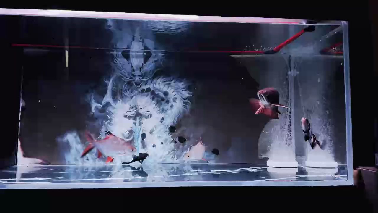 ??（深海探險：揭開海洋生物多樣性的神秘面紗）