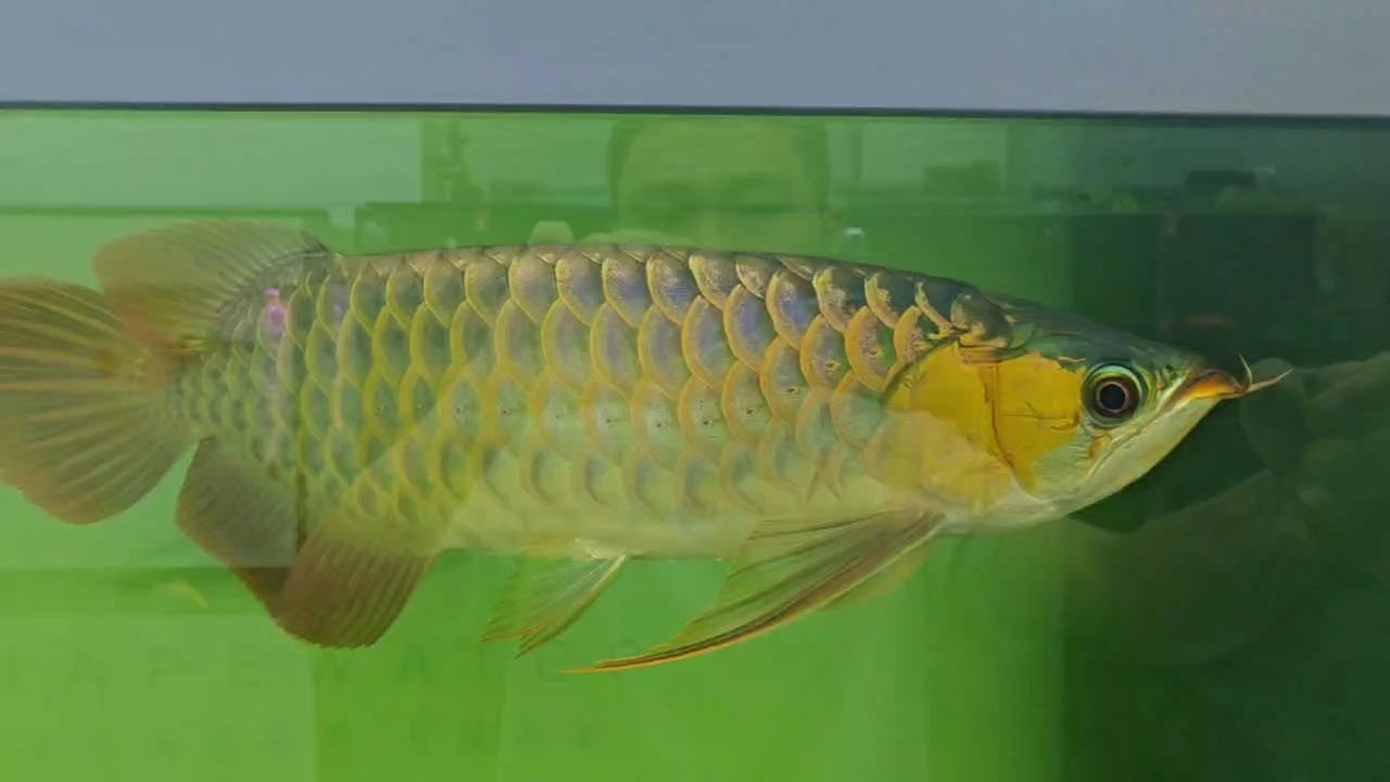 拿下，又一個入庫（庫存管理系列之庫存管理）