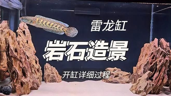 龍魚缸石頭造景視頻教程（魚缸石頭造景視頻教程）
