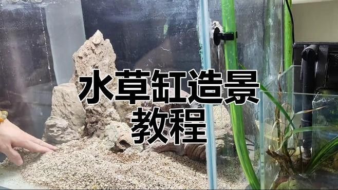 龍魚缸石頭造景視頻教程（魚缸石頭造景視頻教程）