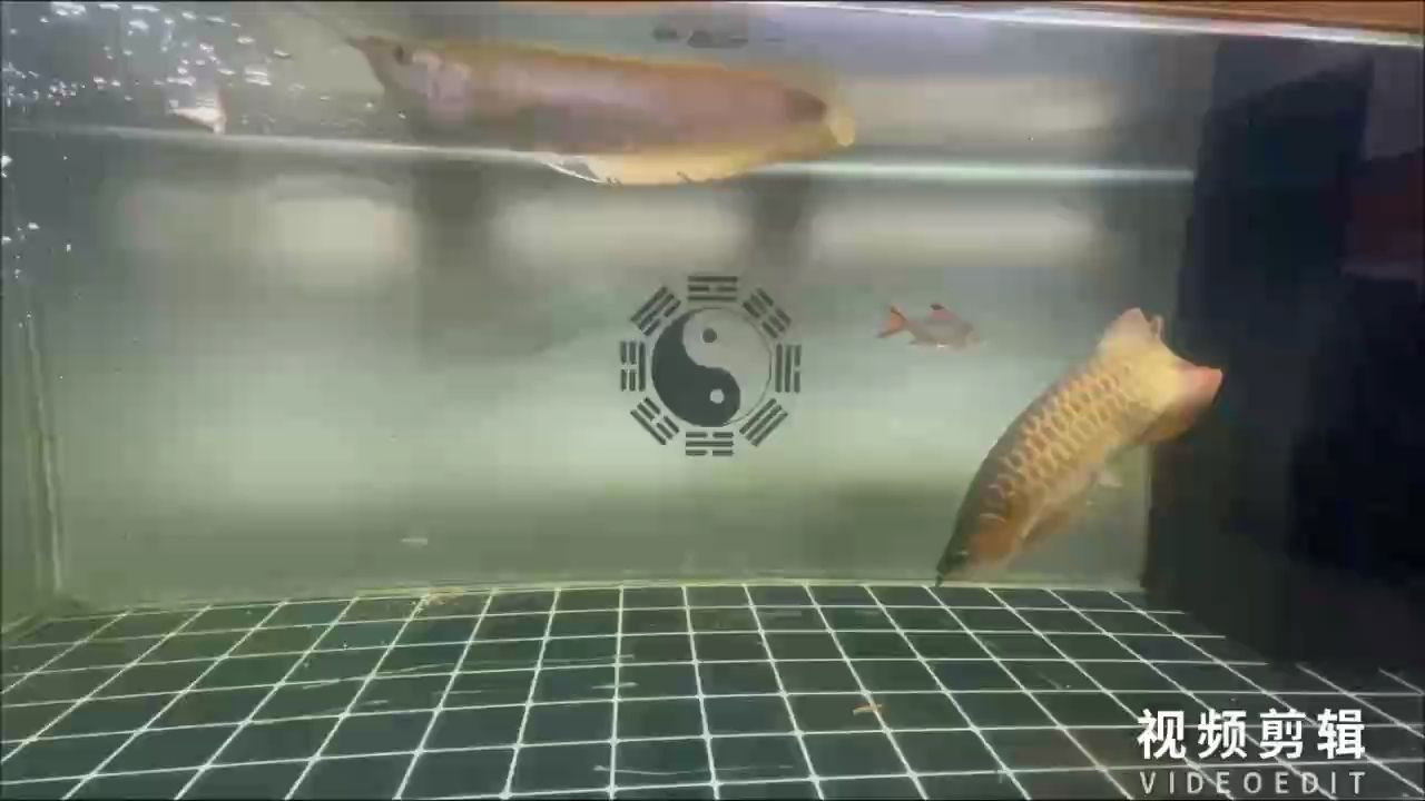 簽到（基于云計算技術的簽到系統設計方案）