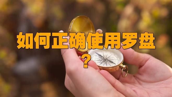 哪款尋龍軟件適合初學者