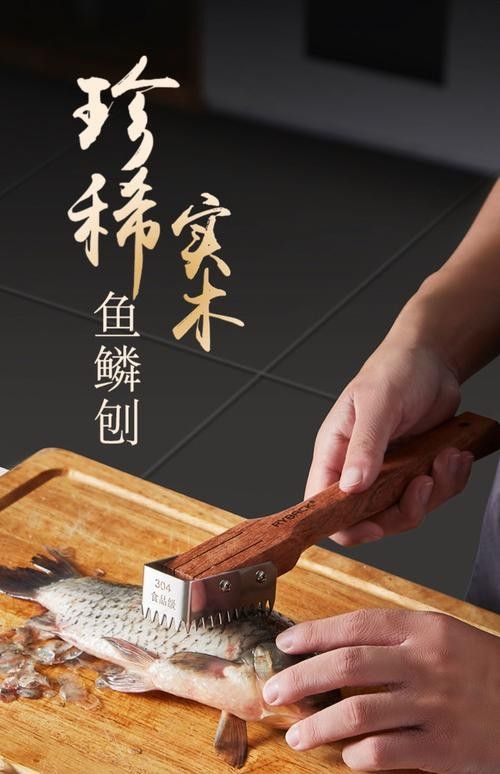 如何鑒別龍魚(yú)品質(zhì)（如何挑選一條品質(zhì)優(yōu)質(zhì)的龍魚(yú)）