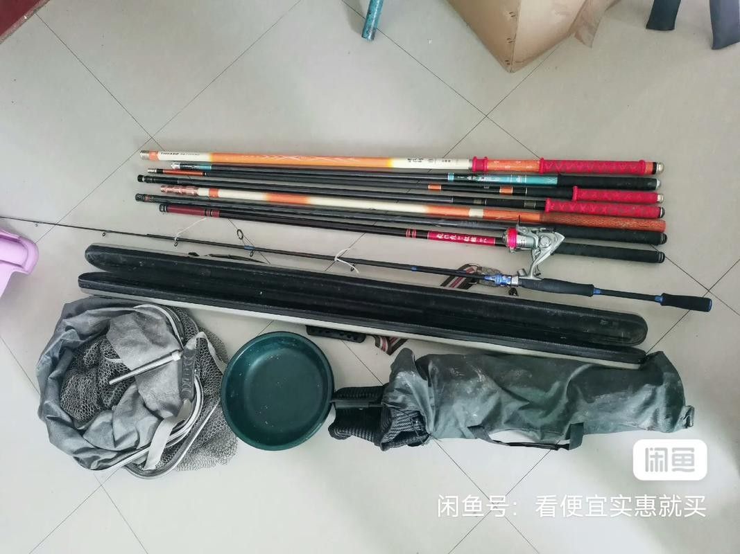 如何鑒別龍魚(yú)品質(zhì)（如何挑選一條品質(zhì)優(yōu)質(zhì)的龍魚(yú)）