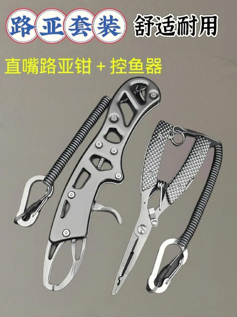 如何鑒別龍魚(yú)品質(zhì)（如何挑選一條品質(zhì)優(yōu)質(zhì)的龍魚(yú)）