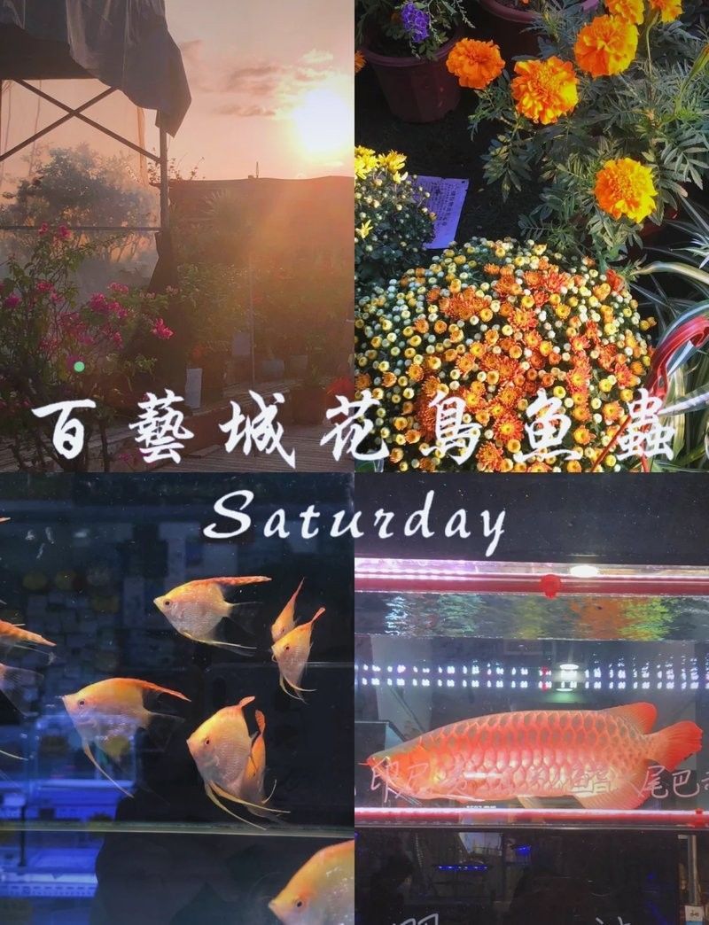 花地灣百藝城營業時間是？（廣州花地灣百藝城營業時間安排）