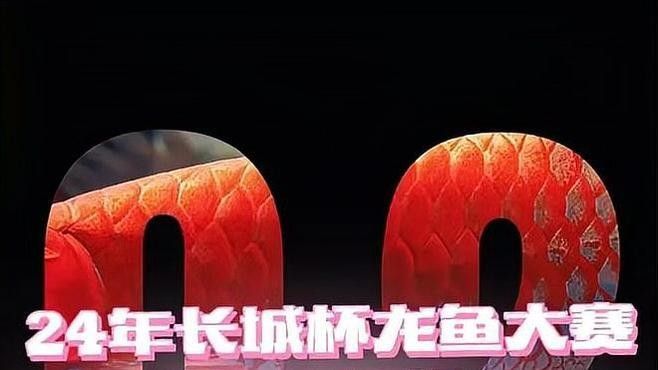 如何查詢廣州龍魚大賽的歷史獲獎名單（如何查詢廣州龍魚大賽的歷史獲獎名單？）