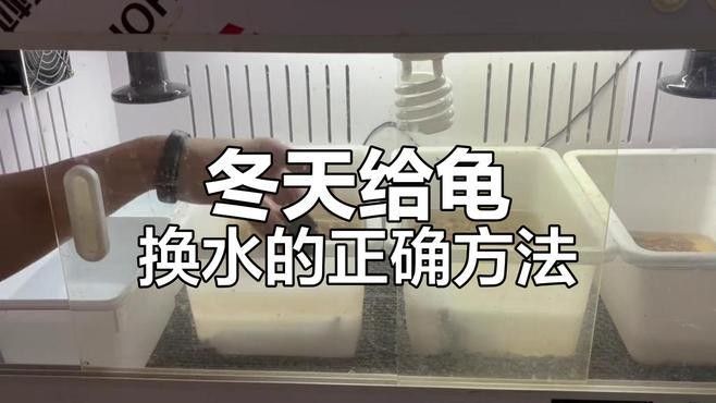 冬天換水時如何控制溫差（養(yǎng)魚說冬季孔雀魚換水技巧,避免溫差過大下個路口見）