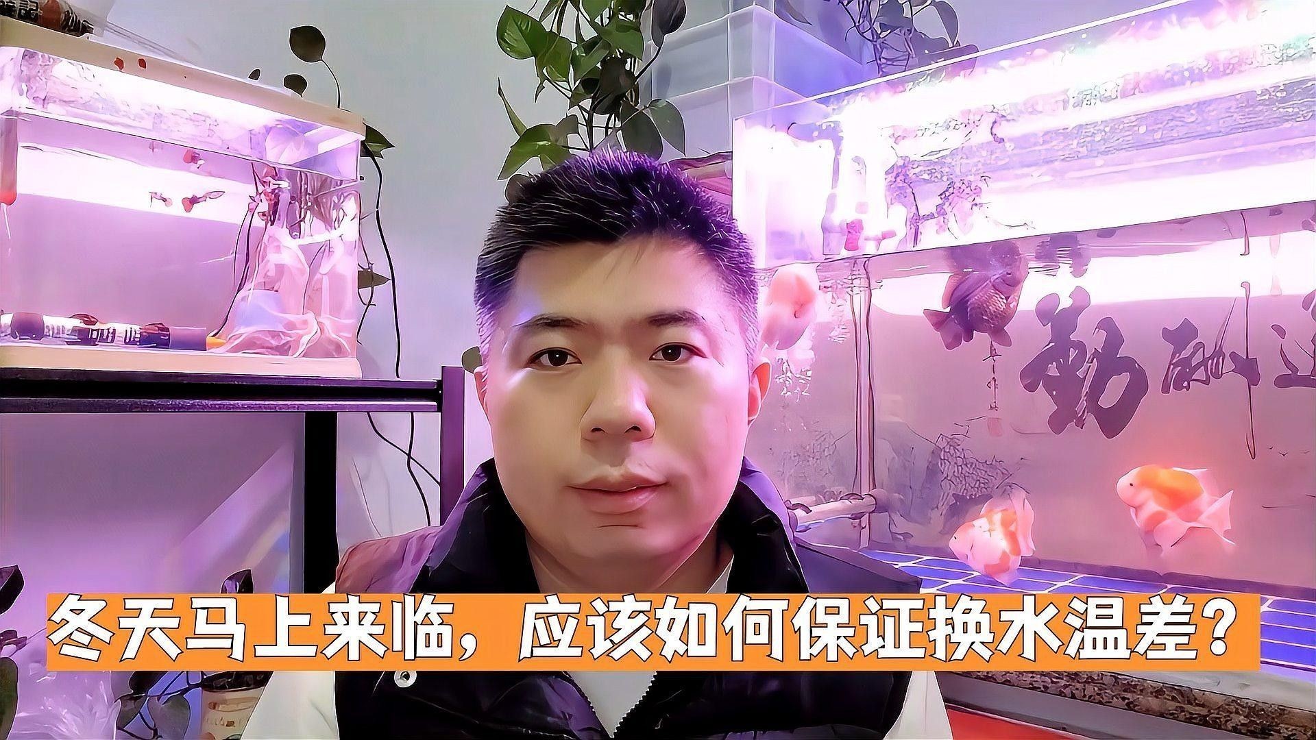冬天換水時如何控制溫差（養(yǎng)魚說冬季孔雀魚換水技巧,避免溫差過大下個路口見）