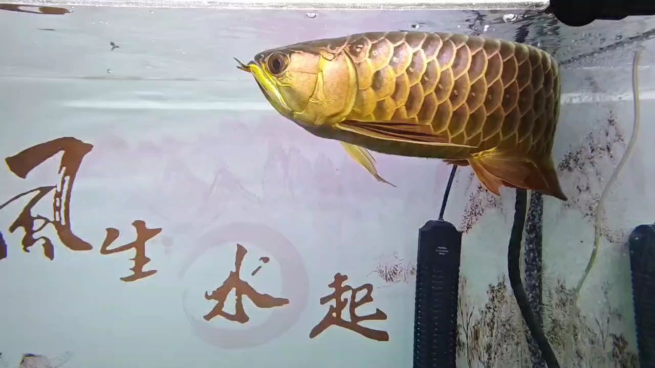 7年了啊（7年了啊，在時間的長河中，七年如同一段旅程的里程碑）