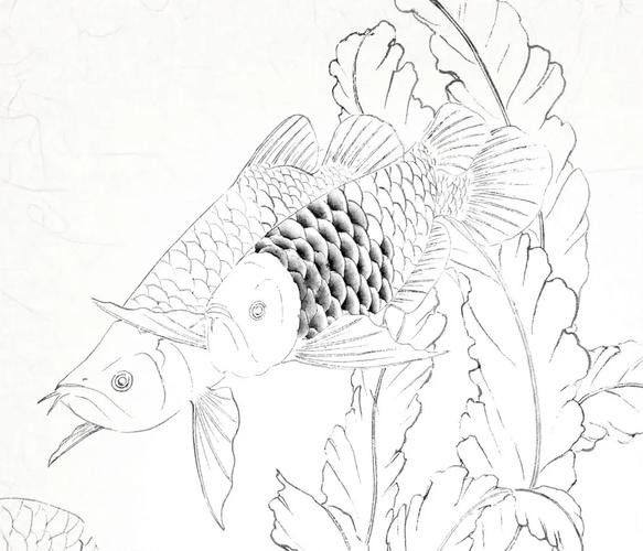 金龍魚簡筆畫步驟（【工筆金龍魚簡筆畫的畫法與渲染詳解）