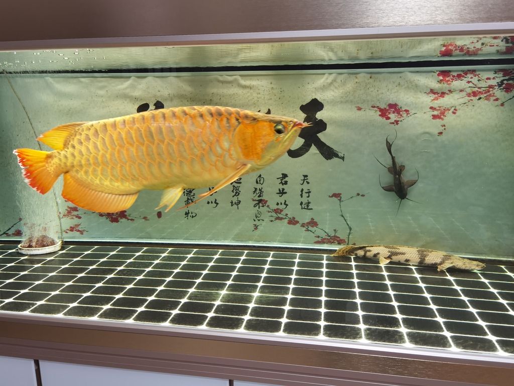 （全球氣候變化對農(nóng)業(yè)生產(chǎn)力的影響是多方面的，氣候變化對農(nóng)業(yè)的影響）