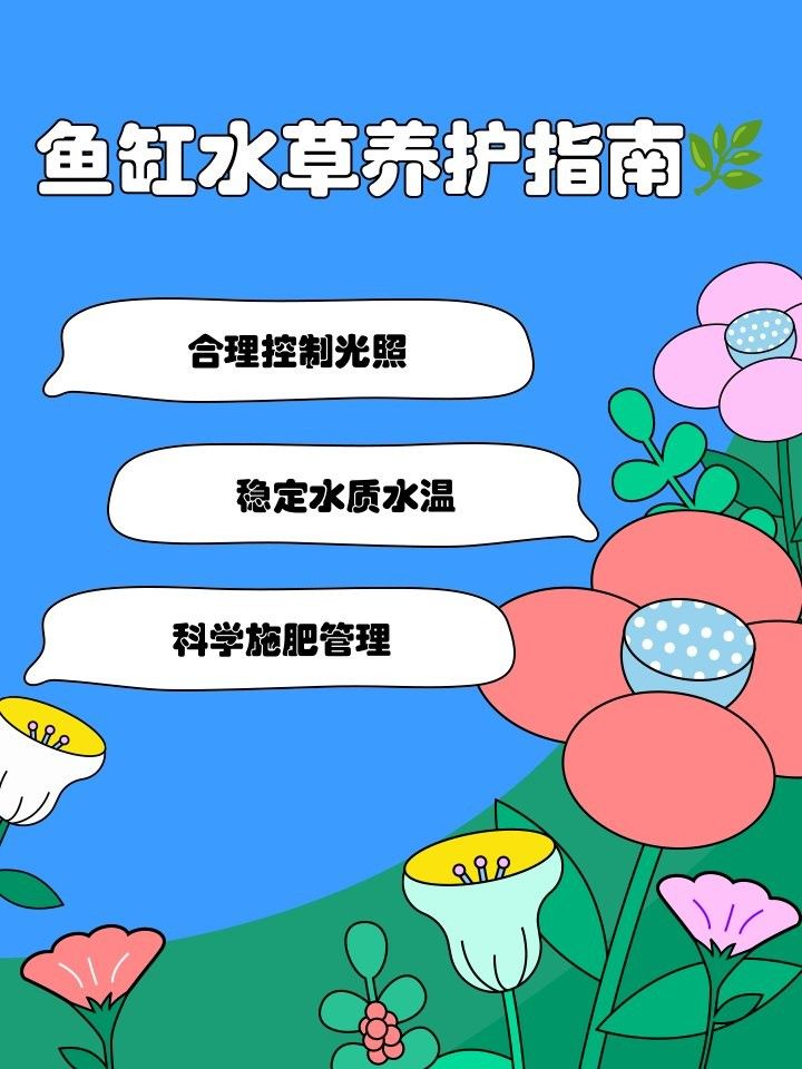 龍魚缸水草需要施肥嗎？（魚缸水草需要施肥嗎）