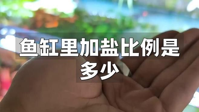 龍魚趴缸需要加鹽嗎（怪味胡豆子,龍魚趴缸別著急,這三種情況先了解一下!可為漁業）