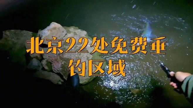 如何選擇合適的釣點？（北京野釣最佳地點） 如何選擇合適的釣點？（北京野釣最佳地點） 龍魚百科 第4張
