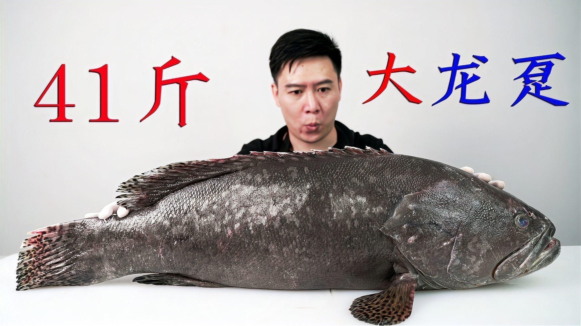 哪種龍躉魚的做法最簡單