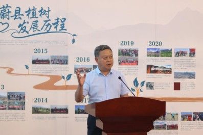 金龍魚蔚縣小米項目成效如何（金龍魚蔚縣小米產業助力蔚縣小米產業迎來新國標引領）