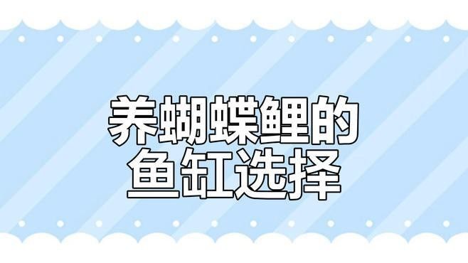 蝴蝶鯉混養(yǎng)需要多大的魚缸？