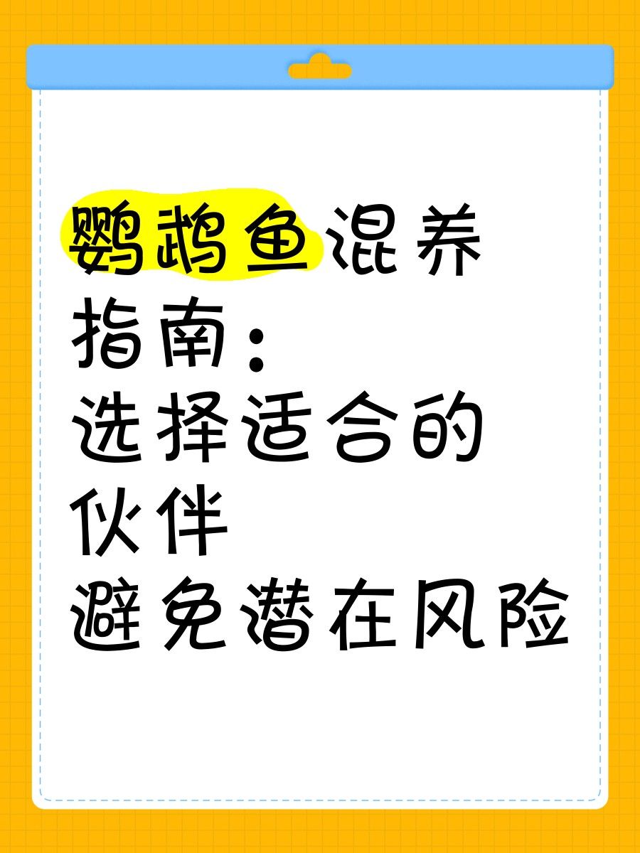 金龍魚在缸底不動是什么原因紅龍魚在缸底不動是什么原因，紅龍魚一直在缸底不動是什么原因