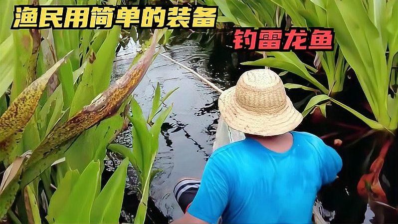 龍魚釣魚比賽如何準備？