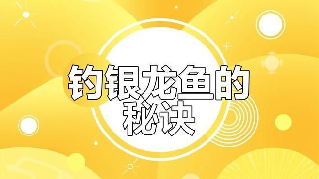 龍魚釣魚比賽如何準備？