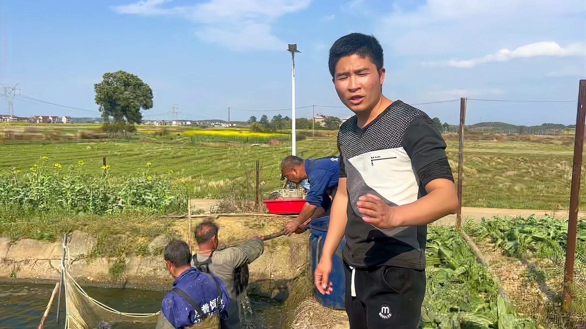 大青龍魚苗的飼養難度大嗎？（大青龍魚苗的飼養難度如何？）