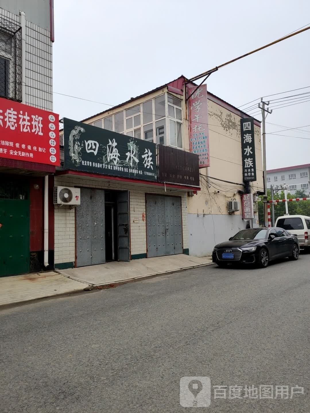 大城哪個(gè)水族館龍魚好？祥龍魚場龍魚（大城哪個(gè)水族館祥龍魚場）