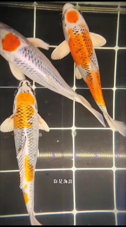 打卡（打卡文化在當代社會的影響與挑戰(zhàn)）