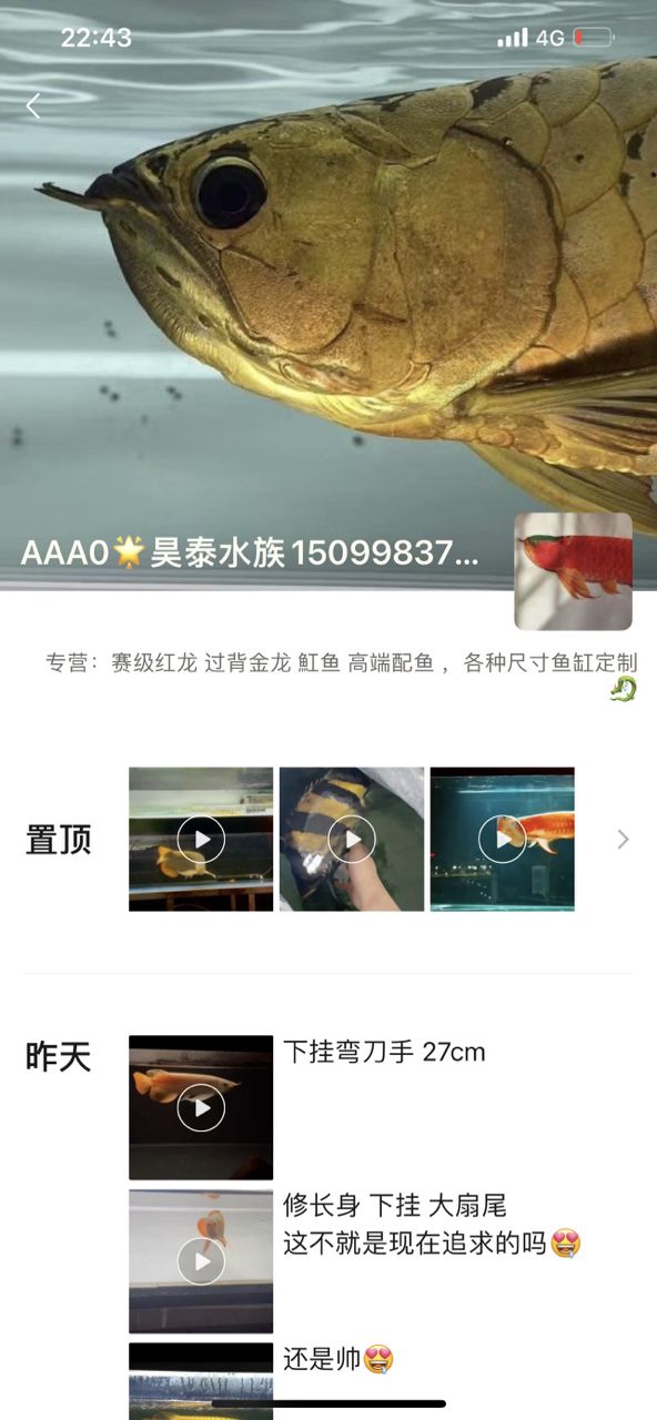 可笑！（“可笑”一詞在當(dāng)代社會中的多維表現(xiàn)及其影響）