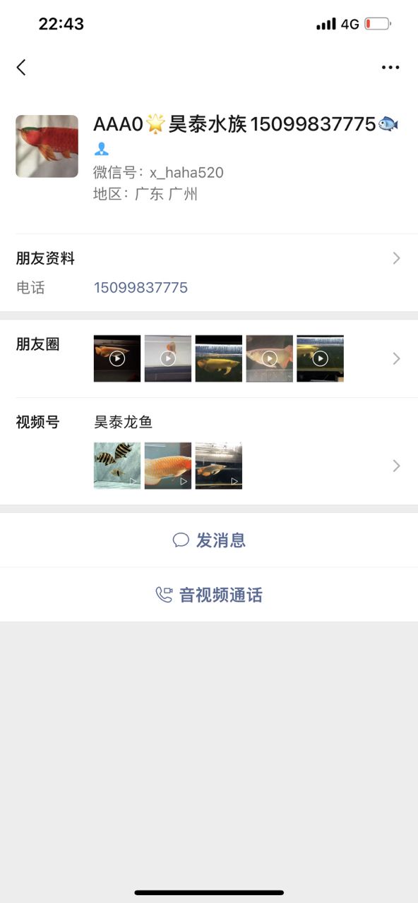可笑！（“可笑”一詞在當(dāng)代社會中的多維表現(xiàn)及其影響）