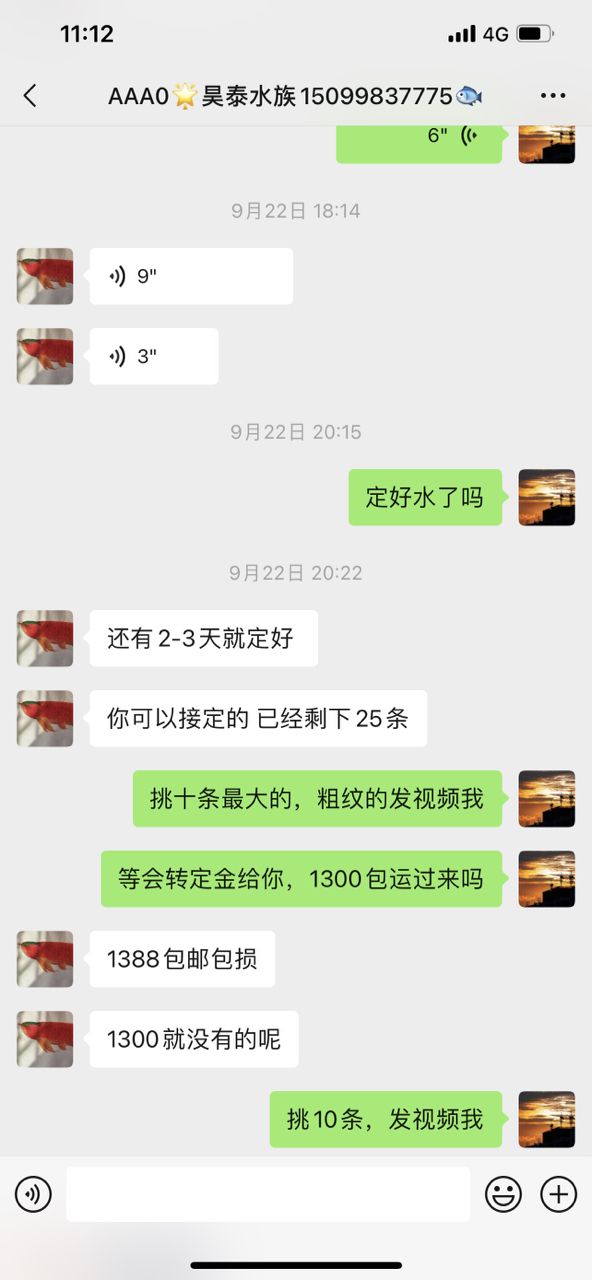 可笑！（“可笑”一詞在當(dāng)代社會中的多維表現(xiàn)及其影響）