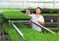 石家莊龍魚場電話地址查詢結(jié)果（河北石家莊龍魚場電話地址查詢結(jié)果）