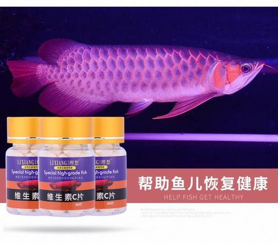 哪些品牌龍魚(yú)維他命比較好（選擇哪個(gè)品牌的龍魚(yú)維他命更好）