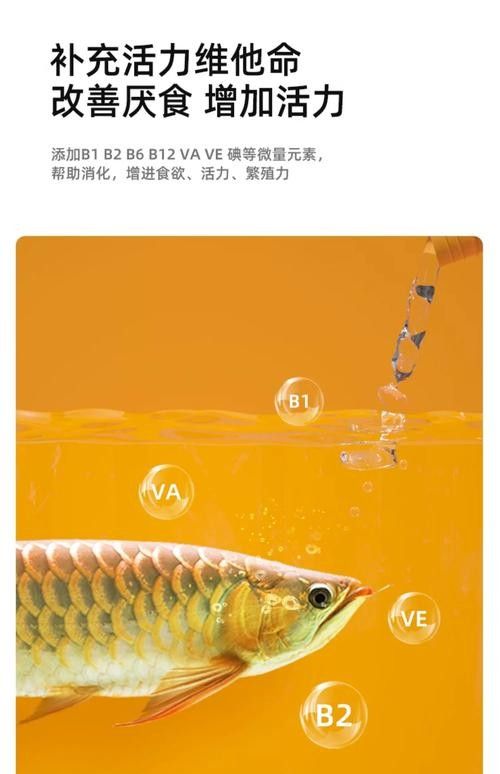 哪些品牌龍魚(yú)維他命比較好（選擇哪個(gè)品牌的龍魚(yú)維他命更好）