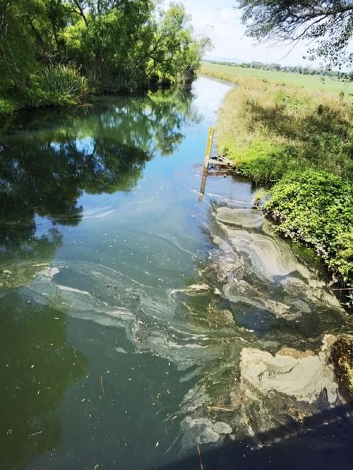 金龍魚趴缸可以自愈嗎？（金龍魚趴缸可以自愈嗎）