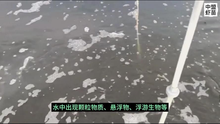 金龍魚趴缸可以自愈嗎？（金龍魚趴缸可以自愈嗎）