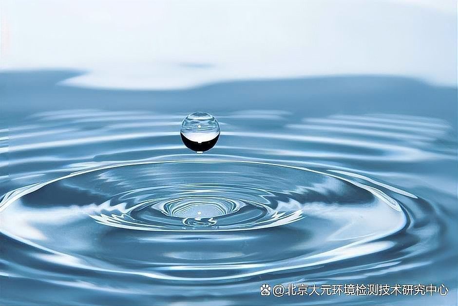 如何判斷水質是否清潔穩定？（北京大元環境檢測技術研究中心:零成本判斷魚缸水質好壞）