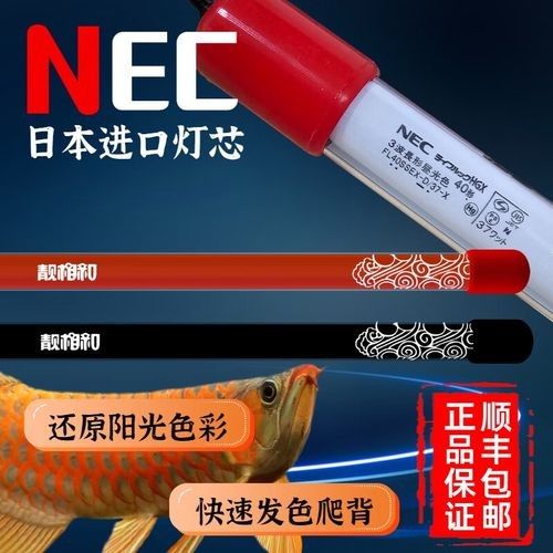 NEC龍魚燈的價格范圍是多少？（nec龍魚燈價格范圍根據品牌、規格和功能差異較大）