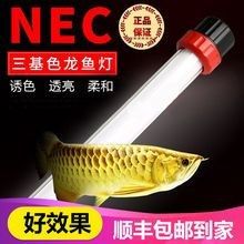 NEC龍魚燈的價格范圍是多少？（nec龍魚燈價格范圍根據品牌、規格和功能差異較大）