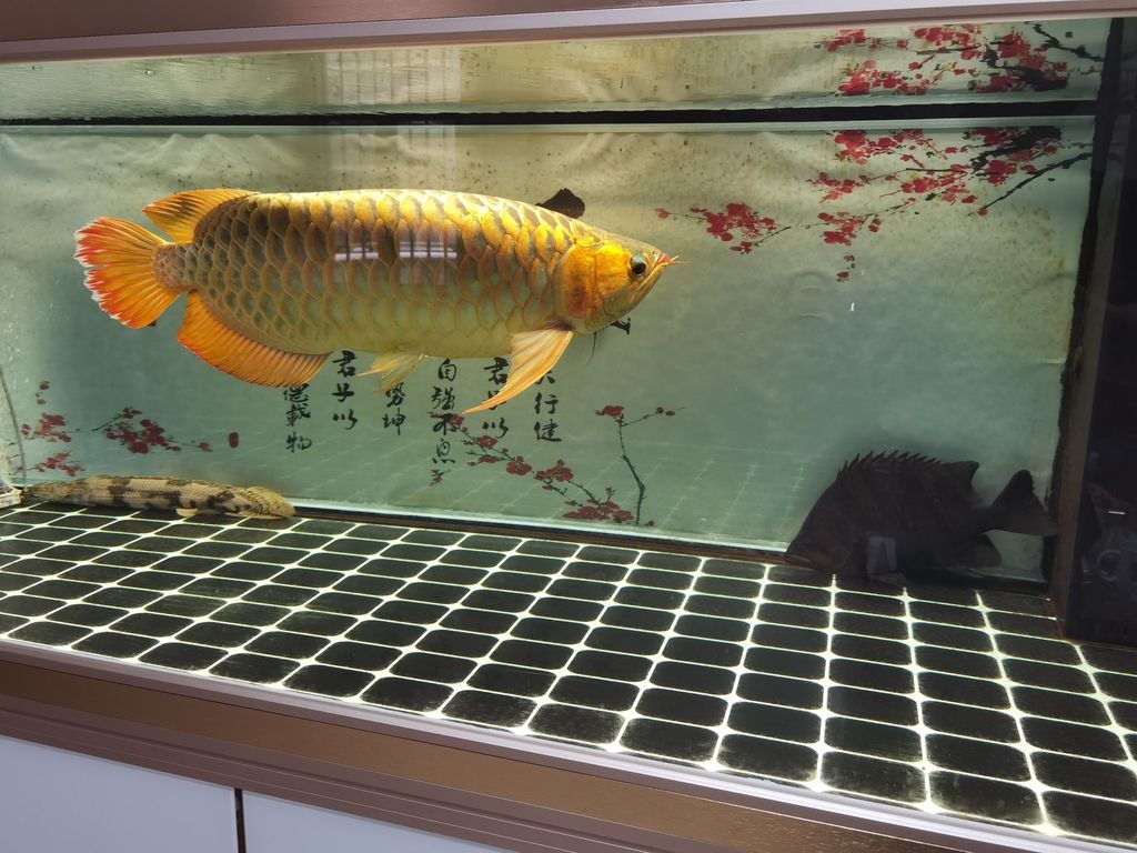 （ai在教育中面臨的挑戰，ai在教育領域的應用前景廣闊）