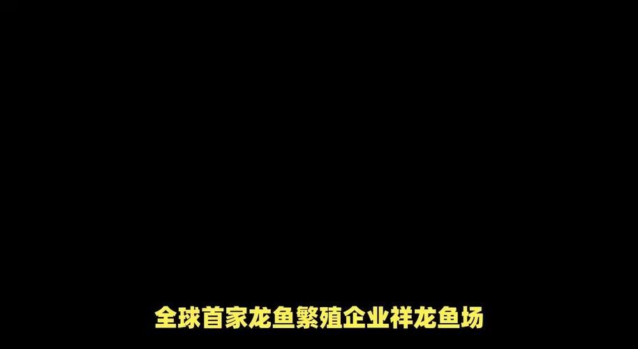 魯甸哪個水族館龍魚好？祥龍魚場龍魚（廣州龍魚祥龍魚場紅龍怎么樣祥龍魚場紅龍怎么樣）