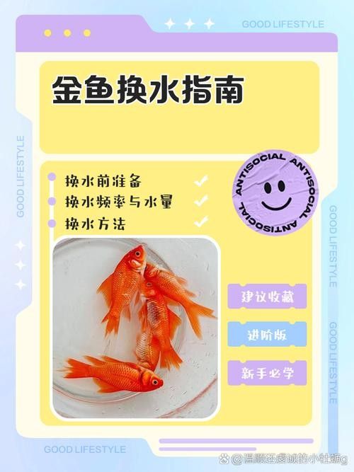 金龍魚多久換一次水？（養金龍魚多久換一次水最好金龍魚多久換一次水最好）