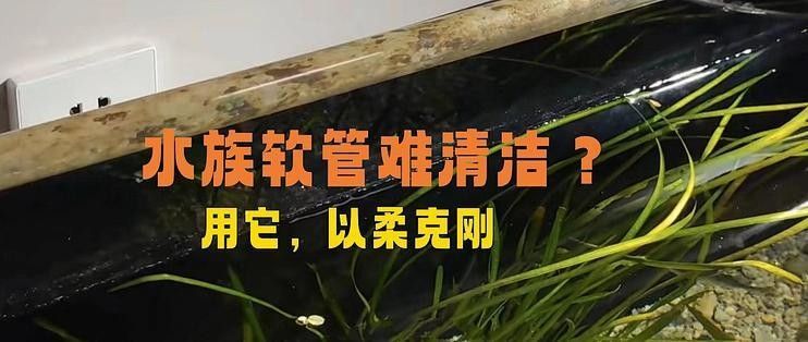 如何清洗西龍魚缸的管道（如何清洗西龍魚缸管道？）