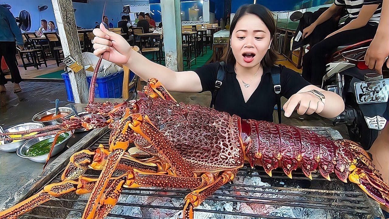 哪種澳龍品種最貴？（哪種澳龍品種最貴）