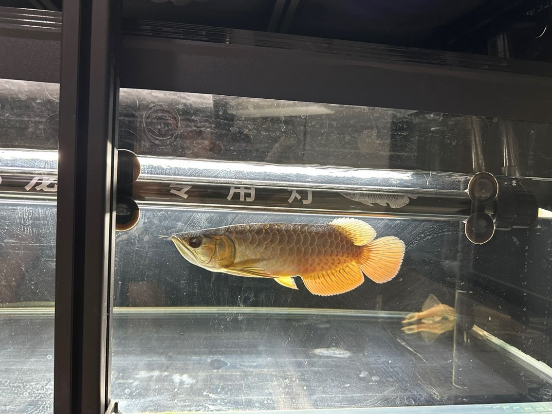 記錄（ai在教育領域的應用）