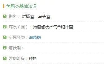 龍魚腸炎自愈需要多長時間？（龍魚得了腸炎會自愈嗎）