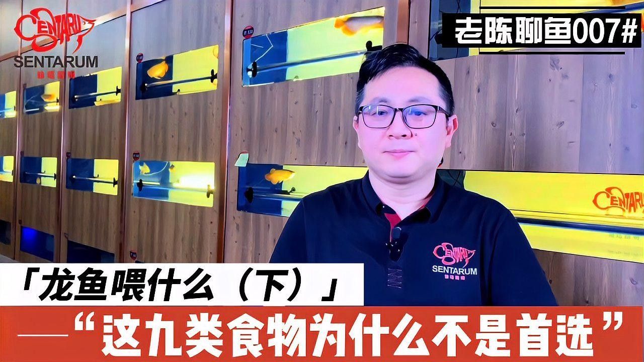 福龍魚的食物有哪些（福龍魚的主要食物分類及喂養建議及喂養建議及喂養建議）