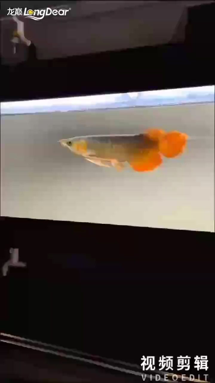 每天打卡（\