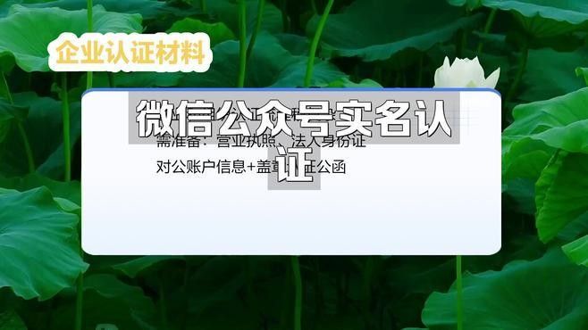 如何通過微信公眾號聯系金龍魚？（如何通過微信公眾號與金龍魚取得聯系）